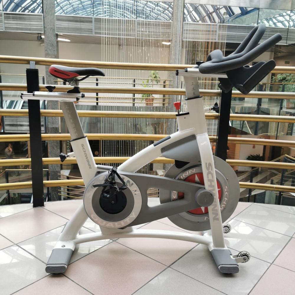 Schwinn AC Performance Plus