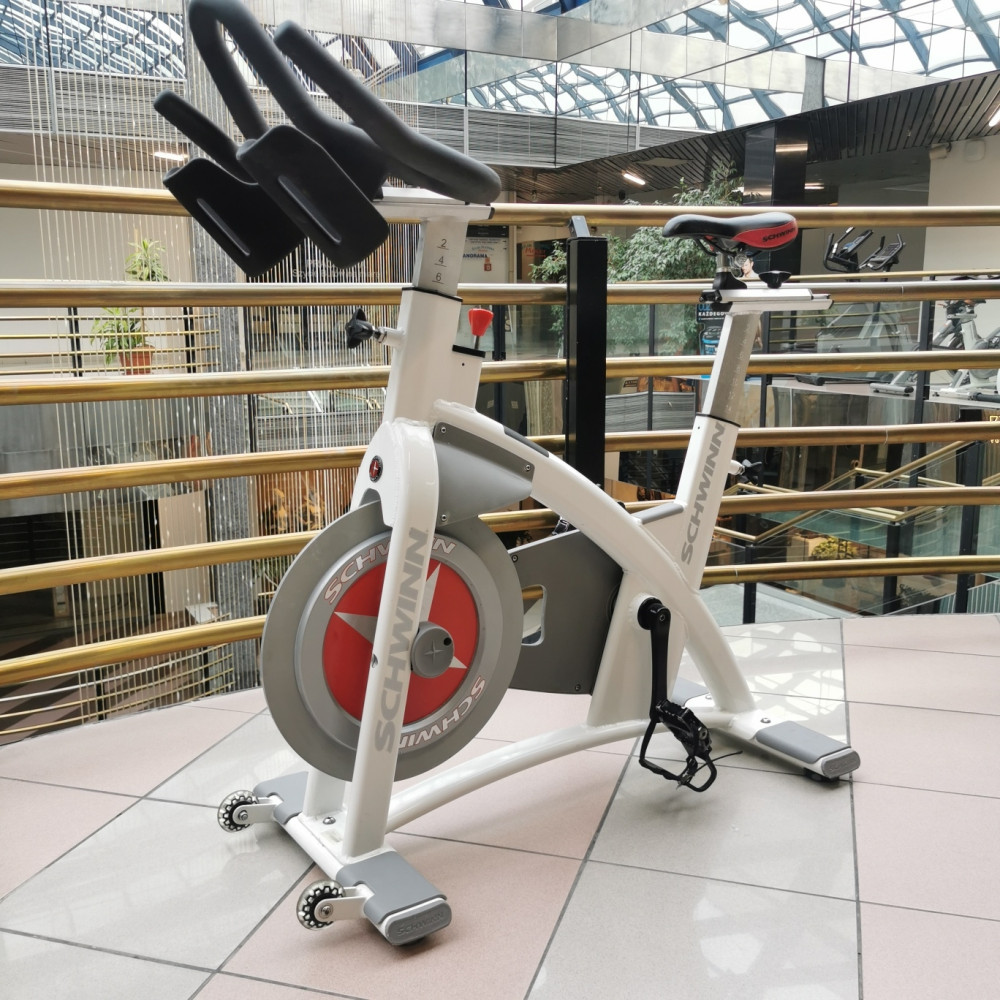 Schwinn AC Performance Plus